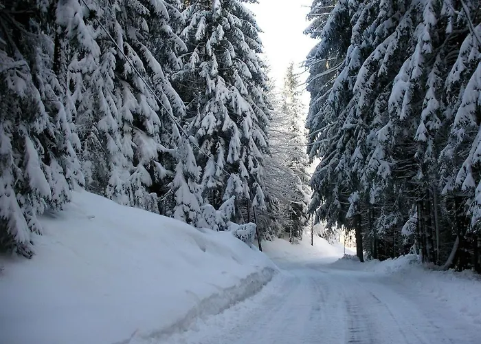 In Near Slopes & Holiday home